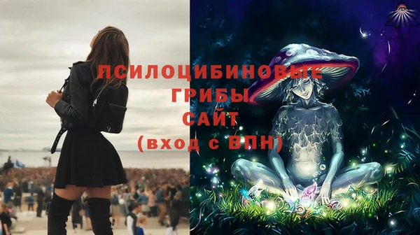 мяу мяу мука Аркадак
