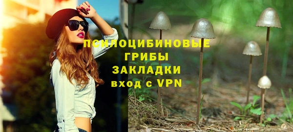 прущие грибы Семёнов