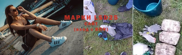 мяу мяу мука Аркадак